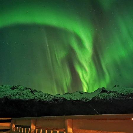 Unique And Charming House At The Foot Of Lofoten'S Highest Mountain Svolvær Exteriör bild