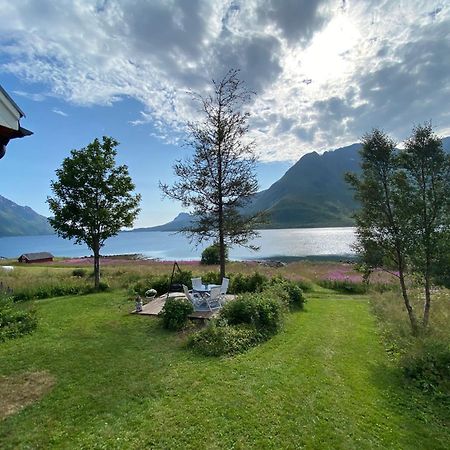Unique And Charming House At The Foot Of Lofoten'S Highest Mountain Svolvær Exteriör bild