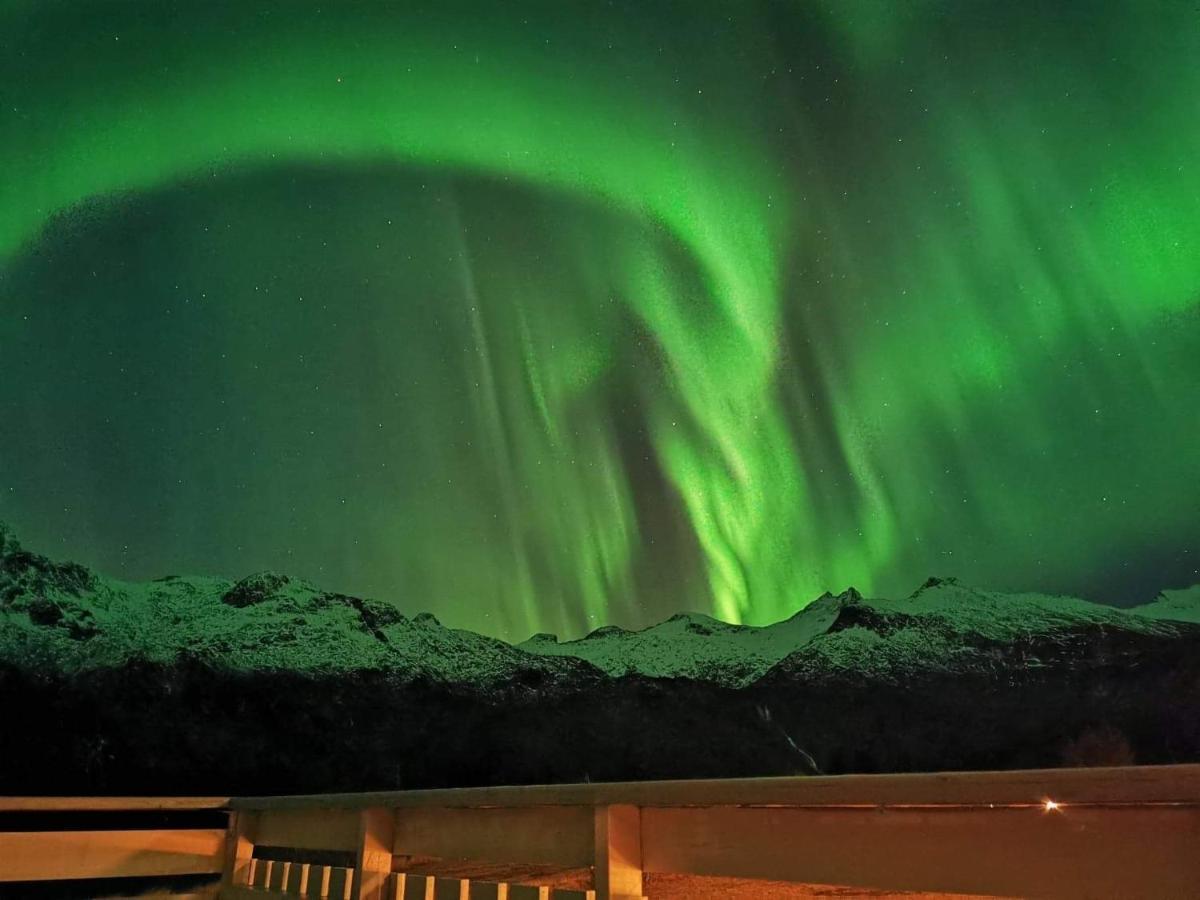 Unique And Charming House At The Foot Of Lofoten'S Highest Mountain Svolvær Exteriör bild