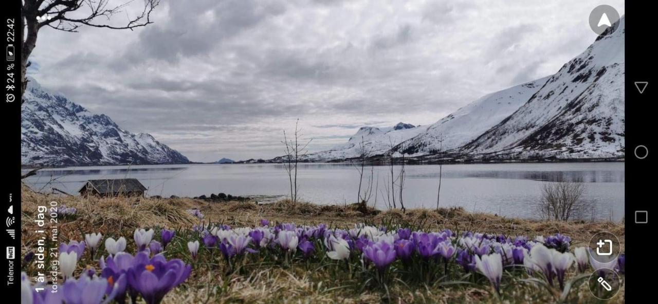 Unique And Charming House At The Foot Of Lofoten'S Highest Mountain Svolvær Exteriör bild