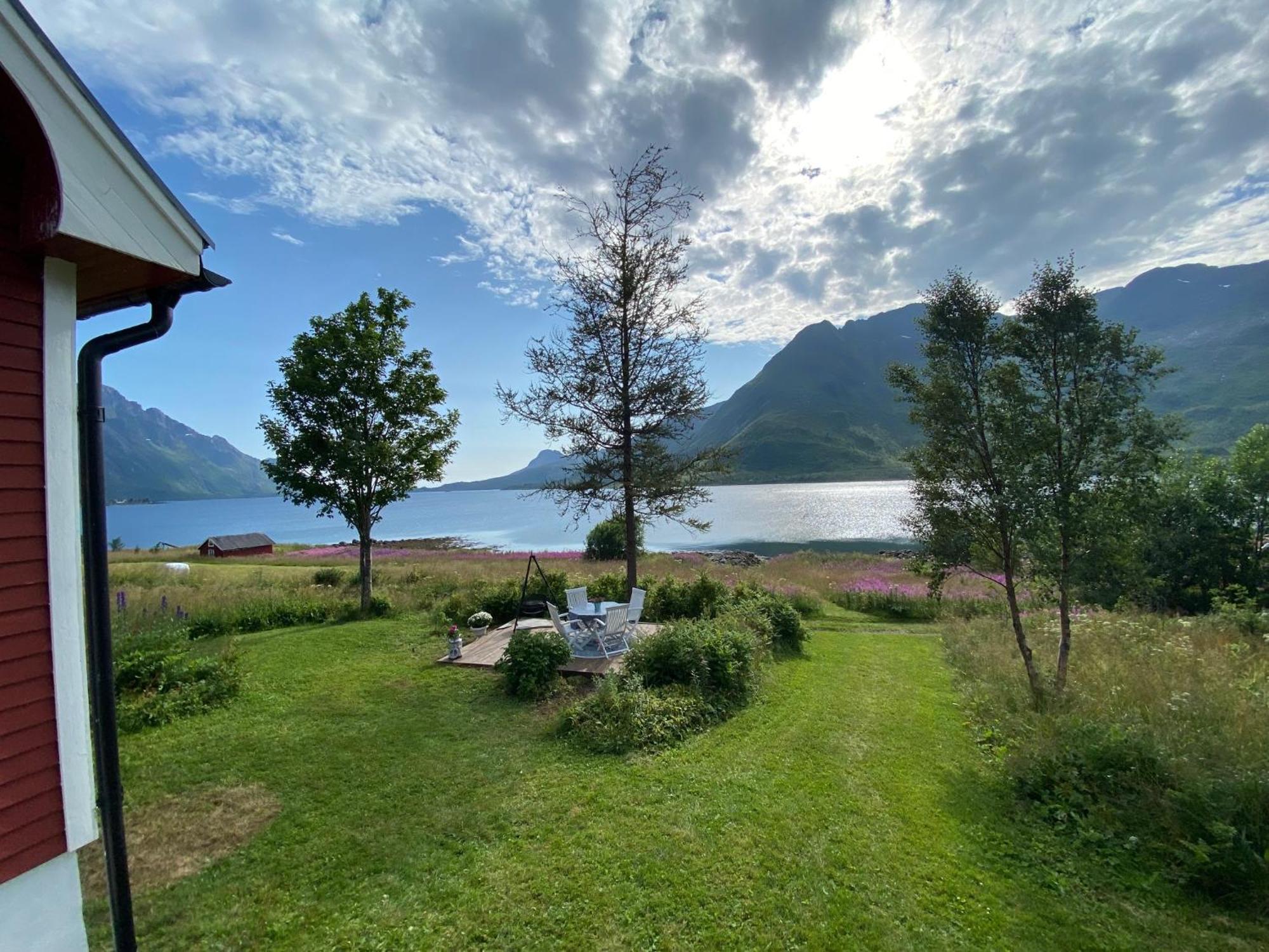Unique And Charming House At The Foot Of Lofoten'S Highest Mountain Svolvær Exteriör bild